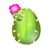 cactus.jpg