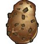 cookie.jpg