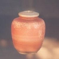 瀬戸肩衝茶入-4