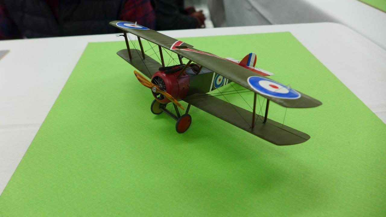 P1480853.JPG