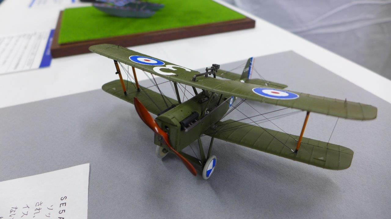 P1480887.JPG