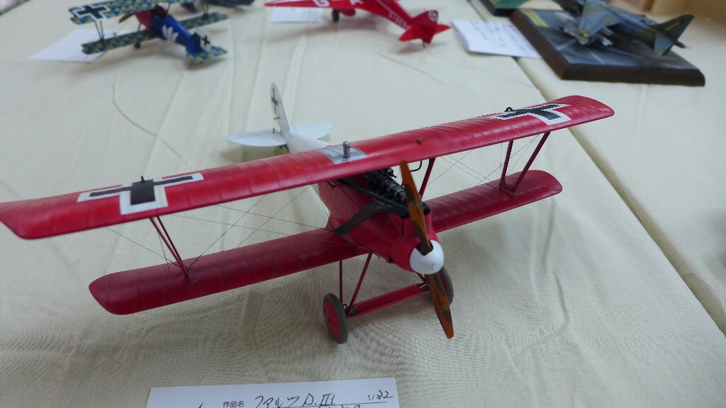 P1600120.JPG