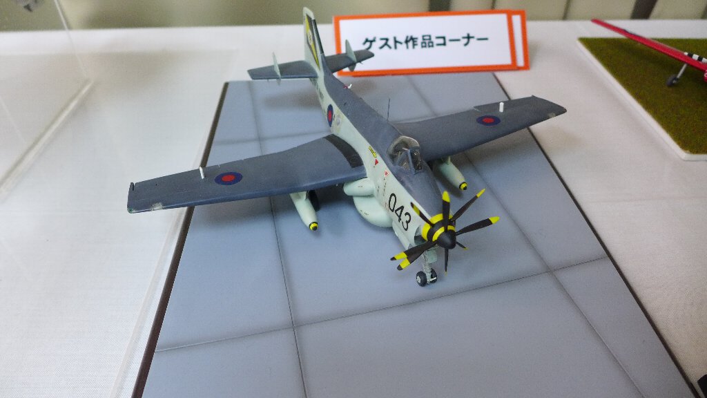 P1680826.JPG