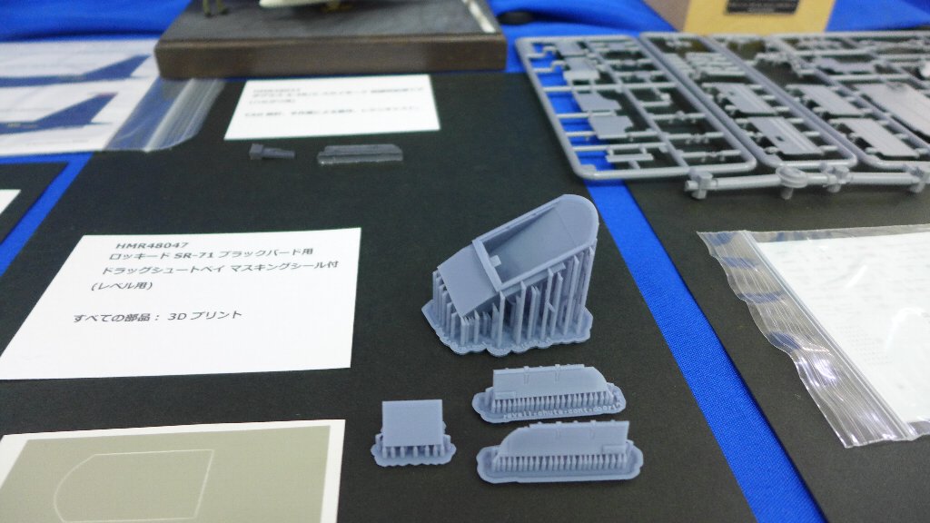 P1680559.JPG
