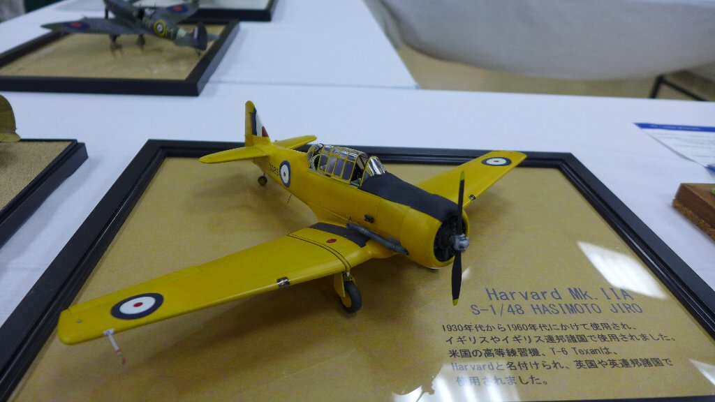 P1680724.JPG