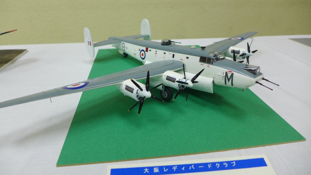 P1680742.JPG