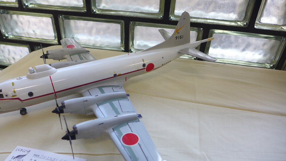 P1790156.jpg