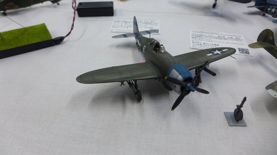 P1790103.JPG