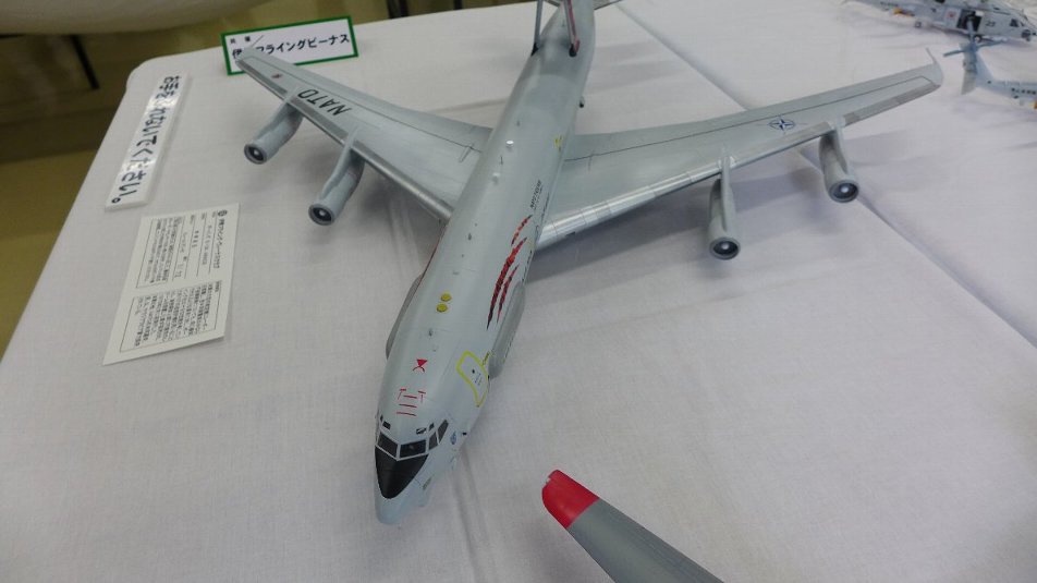 P1790177.JPG