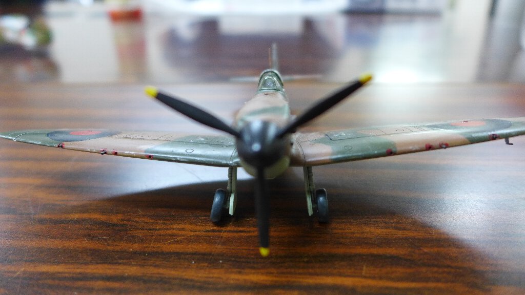 P1490631.JPG