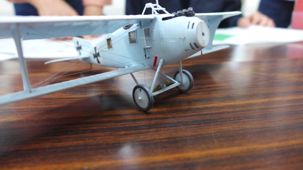 P1590990.JPG