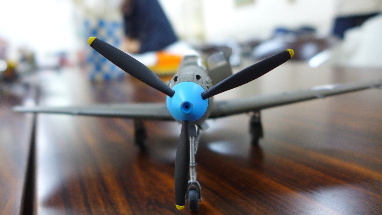 P1530775.JPG
