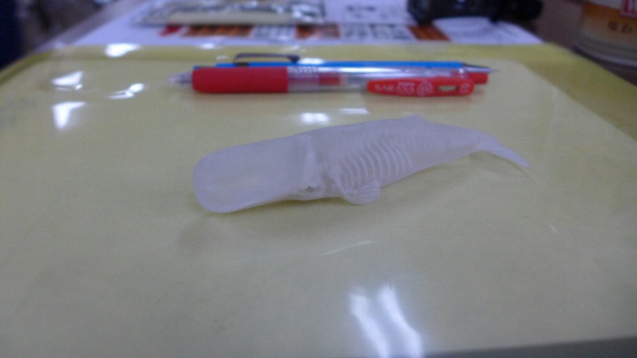 P1670265.JPG
