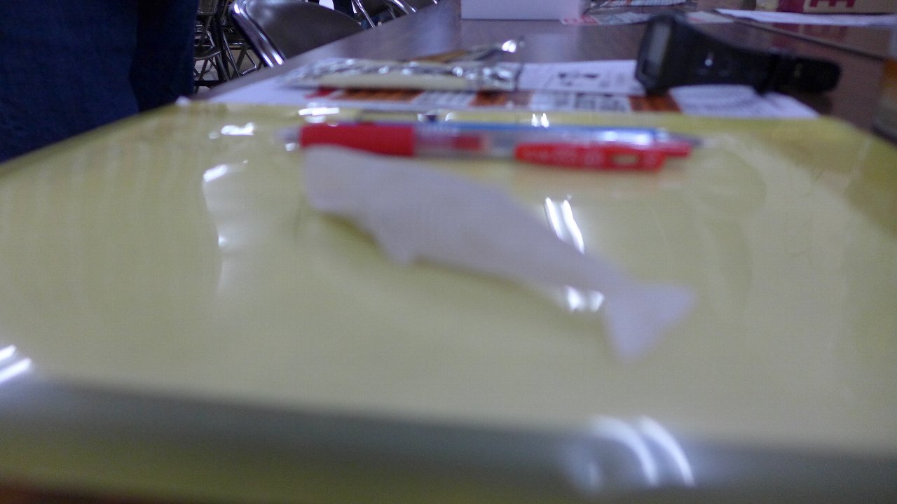 P1670266.JPG