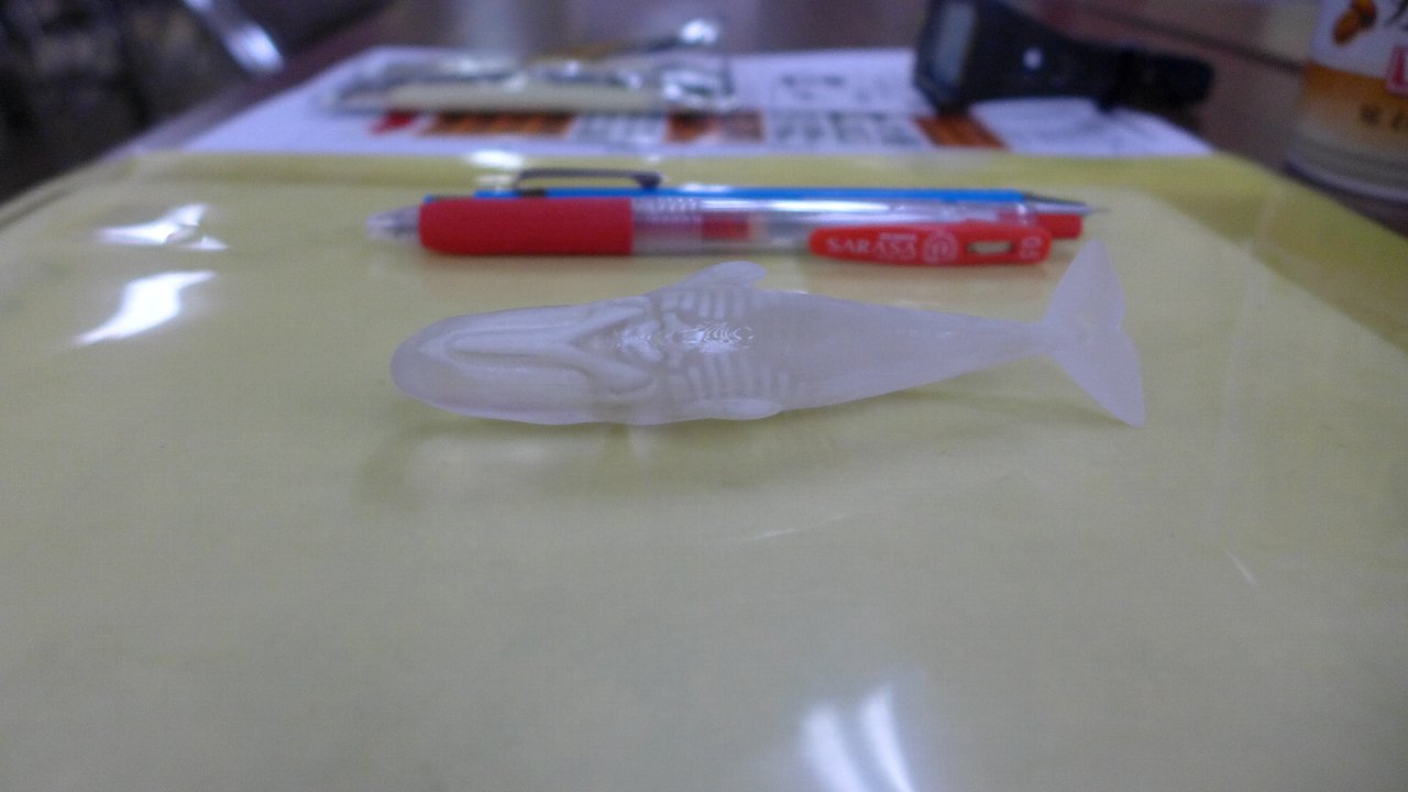P1670267.JPG