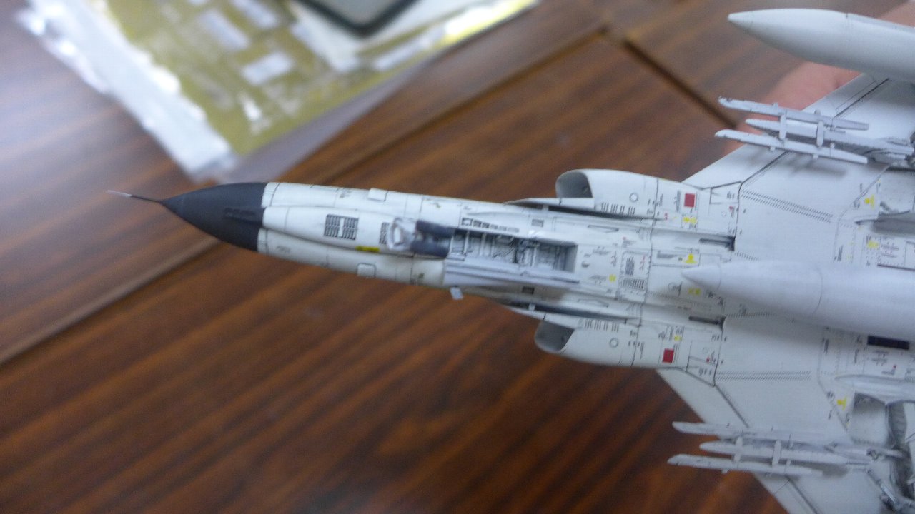 P1750560.jpg