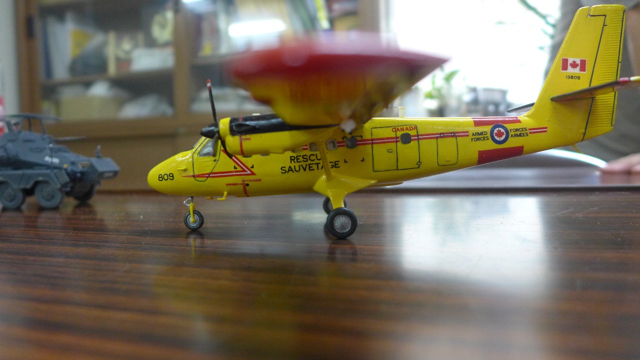 P1750587.jpg