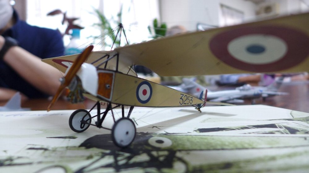 P1810711.JPG