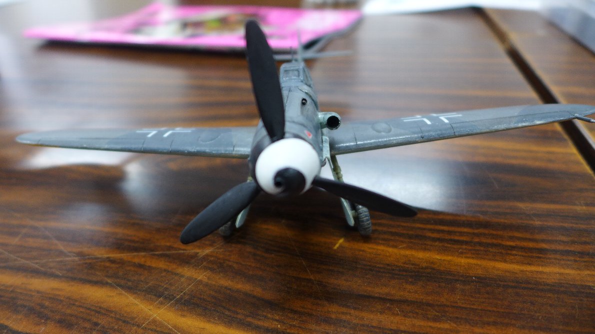 P1900106.JPG