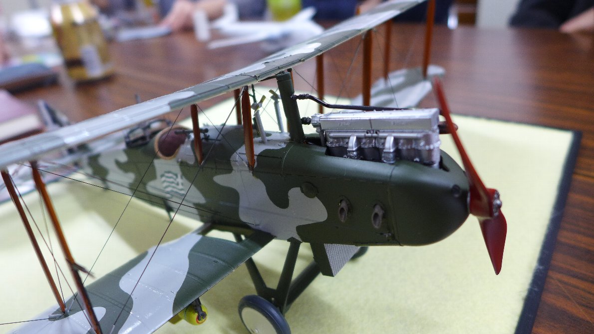 P1900140.JPG