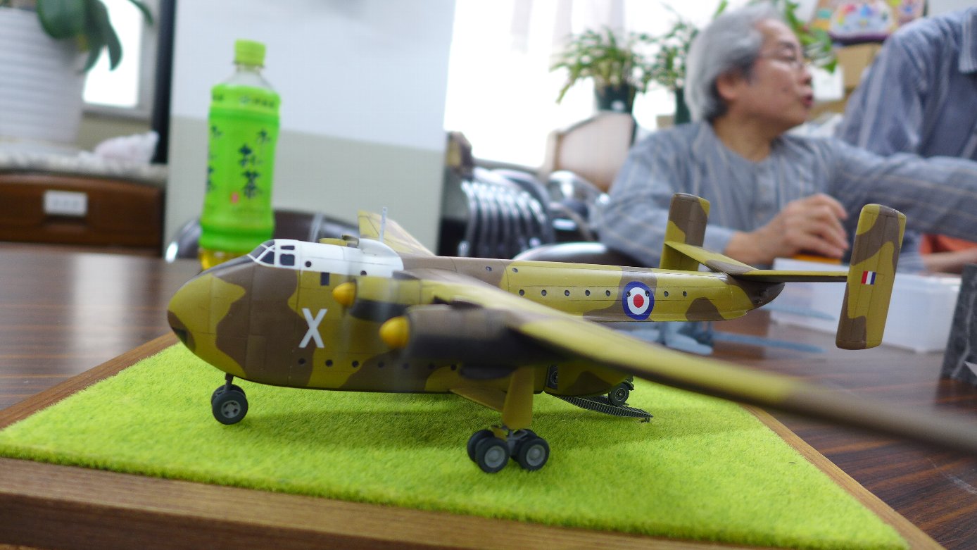 P1910011.JPG