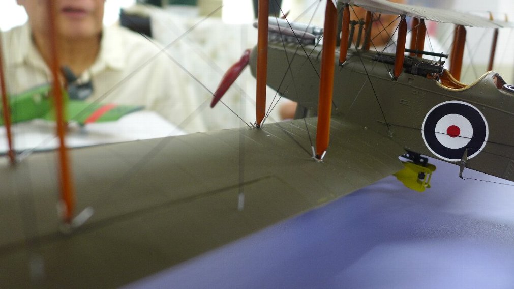 P1930690.JPG