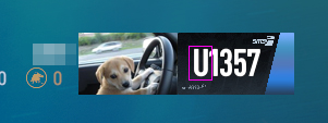 LICENSE3.jpg