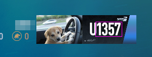 LICENSE4.jpg