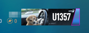 LICENSE5.jpg