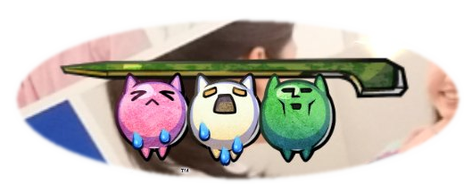 パシャモン画像