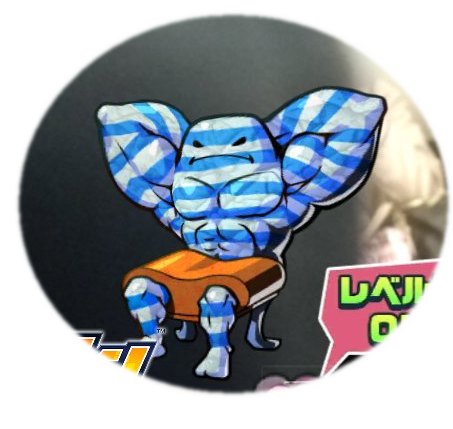 パシャモン画像