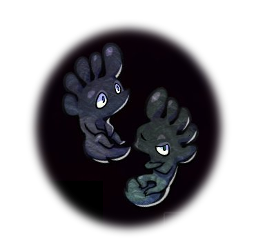 パシャモン画像