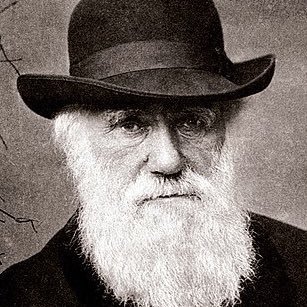 darwinshacho4.jpg