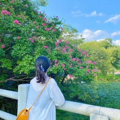 Mayu14177619.jpg