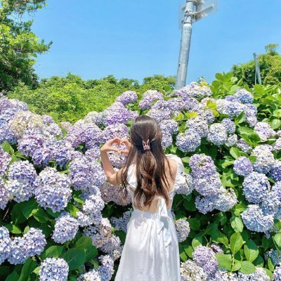 Minami14516839.jpg