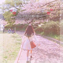 TOMOKA86979596.jpg
