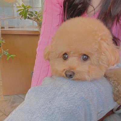shizuku28513199.jpg