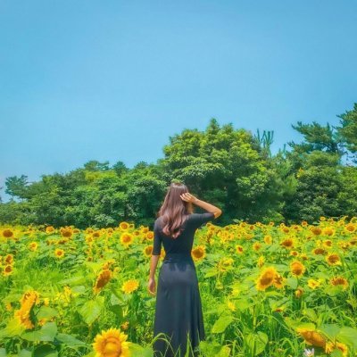 Nanami24094219.jpg