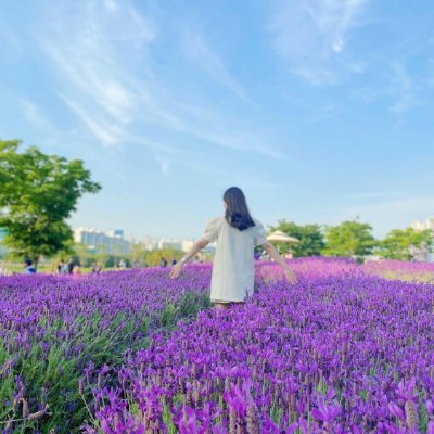 Yaeko67435152.jpg