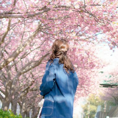 HARUNA64274618.jpg
