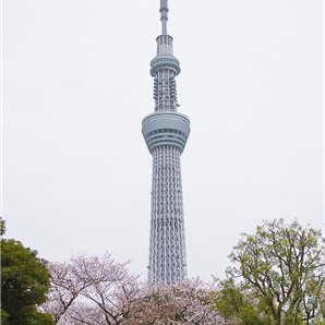 Mizuho16352207.jpg