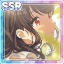 【ひまわり通りのそらと白】福丸小糸