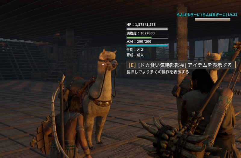 アルパカ.jpg