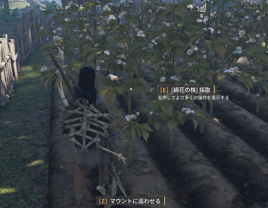 綿_0.jpg