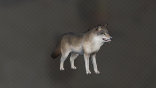 ウルフ.jpg