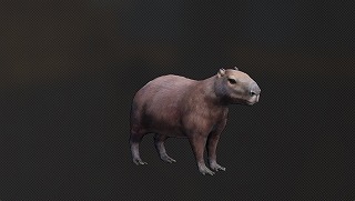カピバラ.jpg