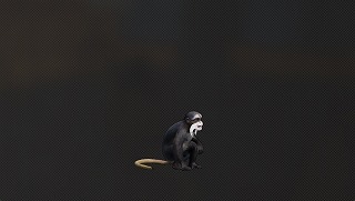 サル.jpg