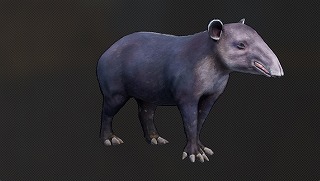 獏.jpg