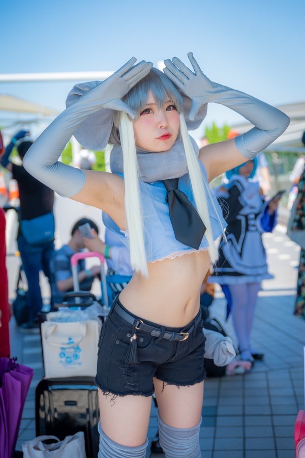 12864771.jpg
