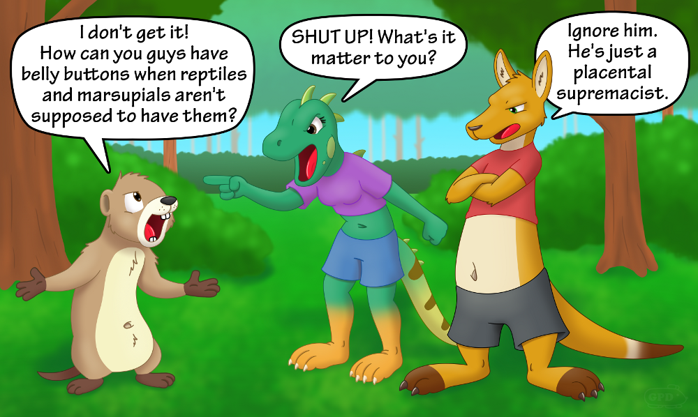guineapigdan-the-furry-belly-button-conundrum_0.png